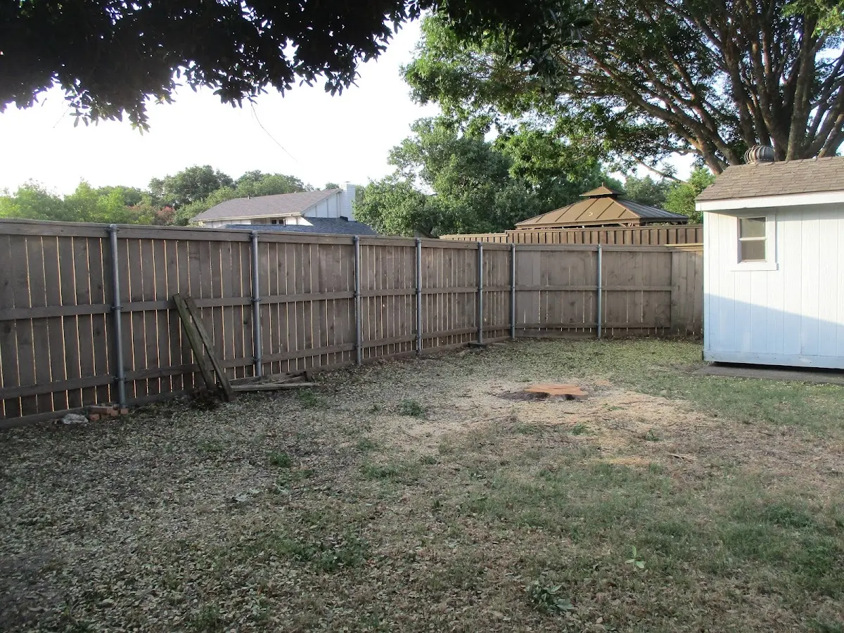 Cleared yard after professional tree removal in Desha